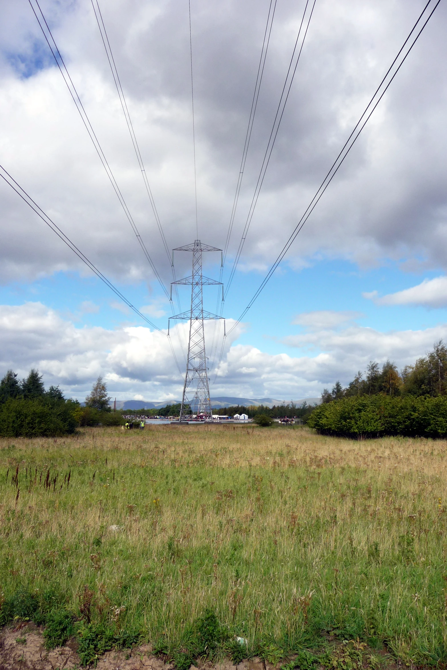 electricity poles with power lines on an open grassy field