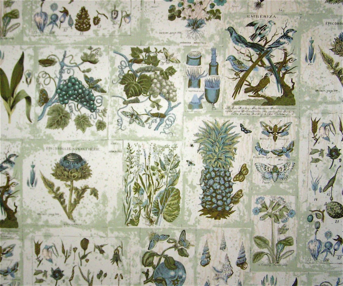 a vintage wallpaper background features a mixture of wild plants and birds