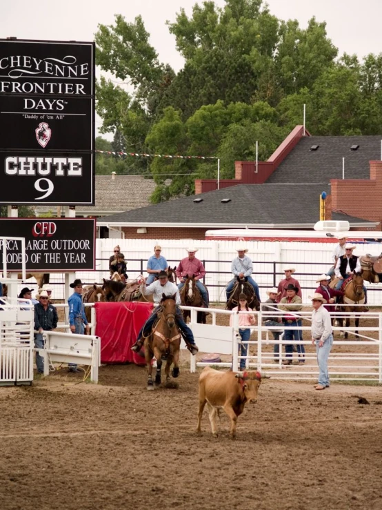 two men holding lassos are walking while a crowd watches