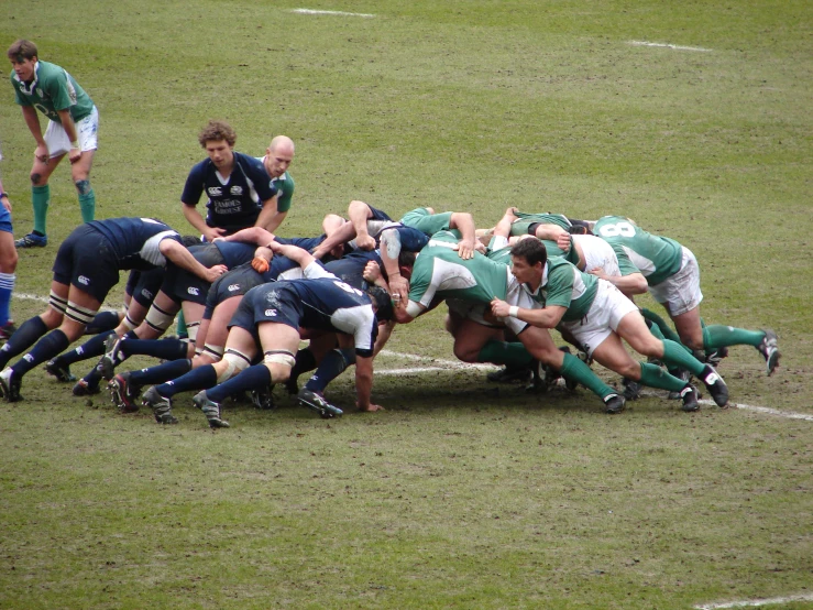 several players are playing together on the field