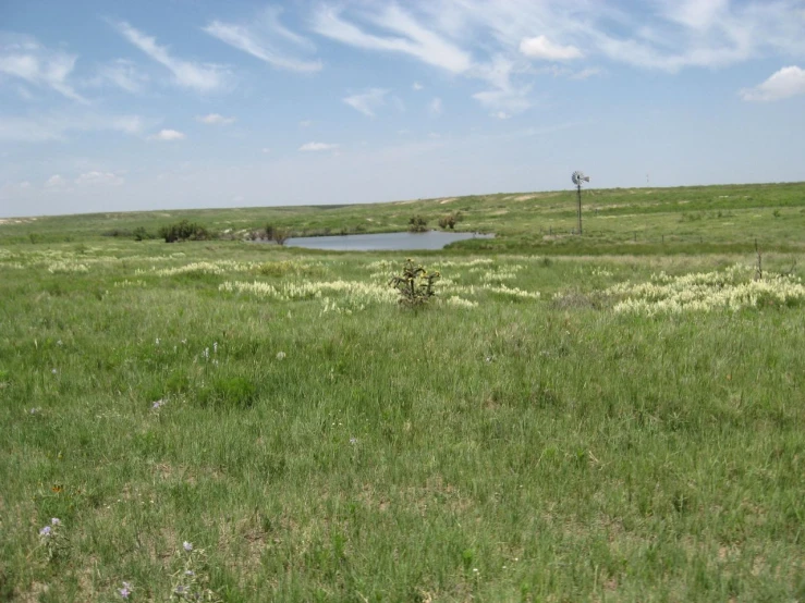 an empty field in the middle of a prairie