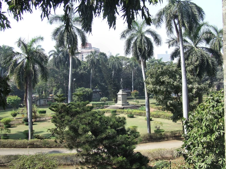 many trees and bushes are in the background