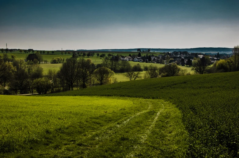 a field of green grass with dirt trail in foreground