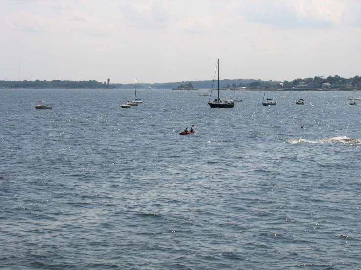 a bunch of boats in the water with sails