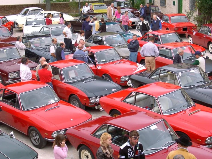 large group of old cars in an automobile show