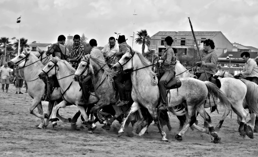 black and white po of a group of men riding horses