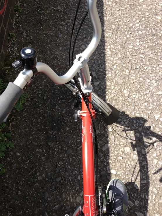 the bike is parked near some bushes and trees