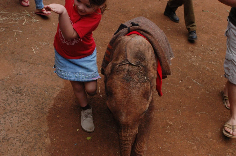 there is a little girl that is standing next to an elephant