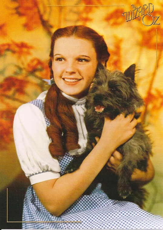 a woman is holding two small dogs in her arms