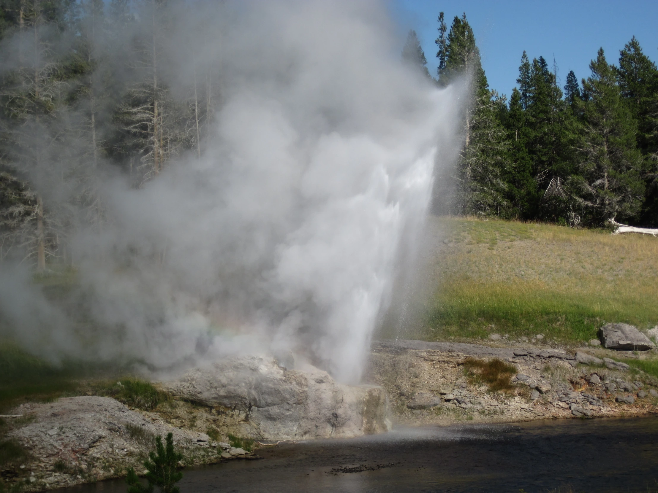 a small blow is coming from the ground near some trees