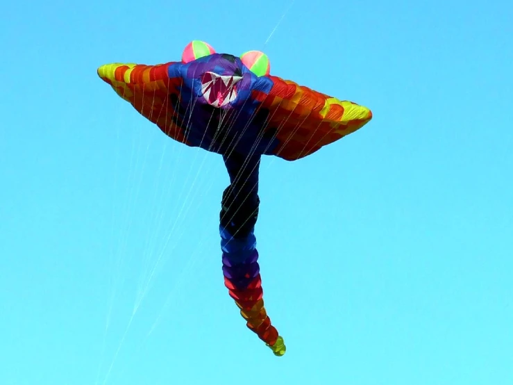 a person that is flying a kite in the sky