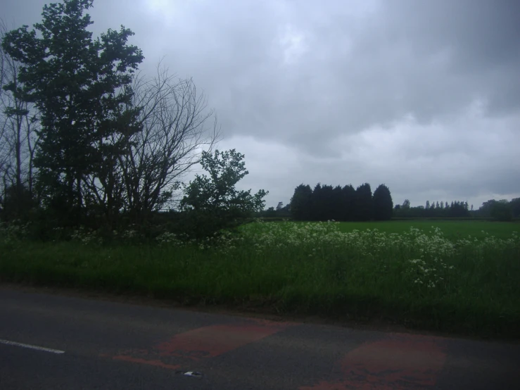 a street with some grass and some trees