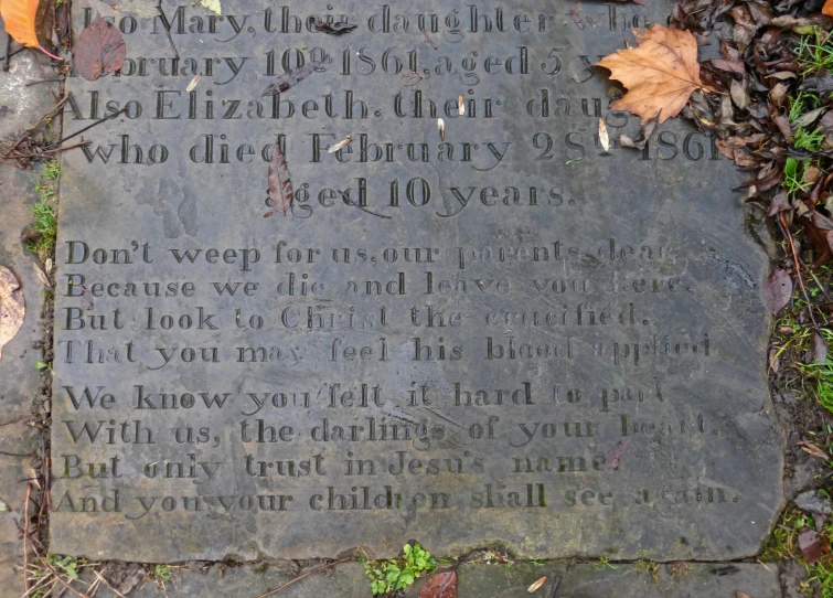 the memorial marker is located in front of some leaves