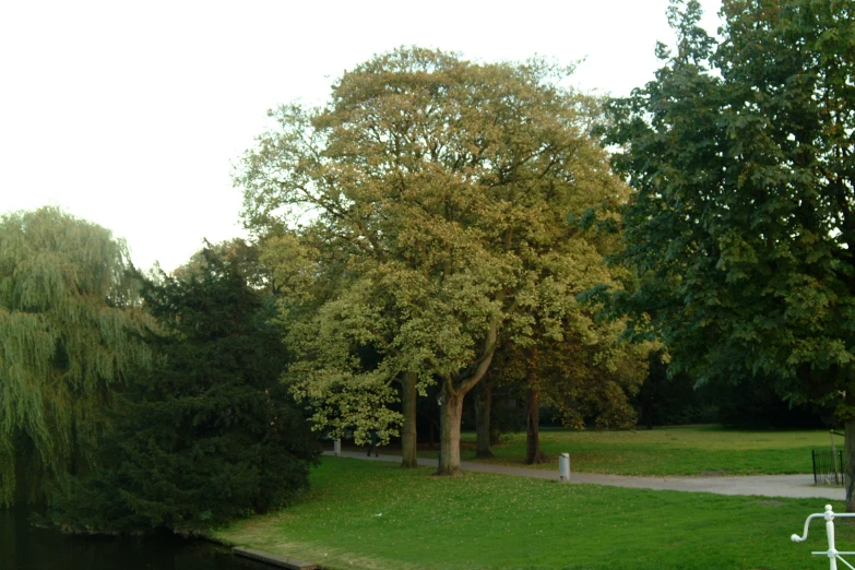 a park with a pond and several trees