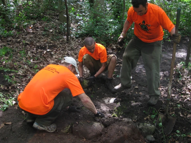 three men in orange shirts digging up a tree