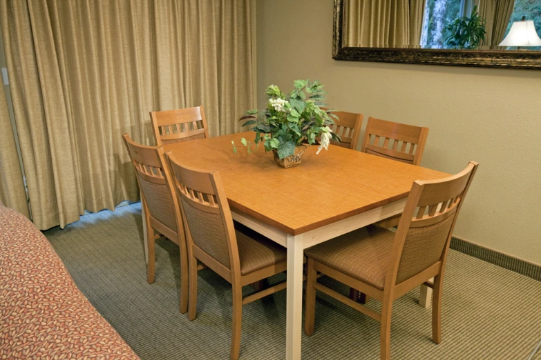 a kitchen table and chairs with plants on it