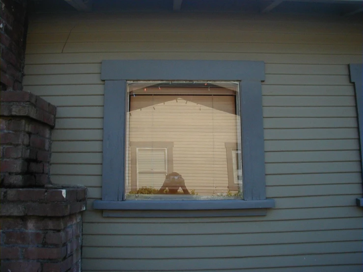 a dog is sitting in the window of the house