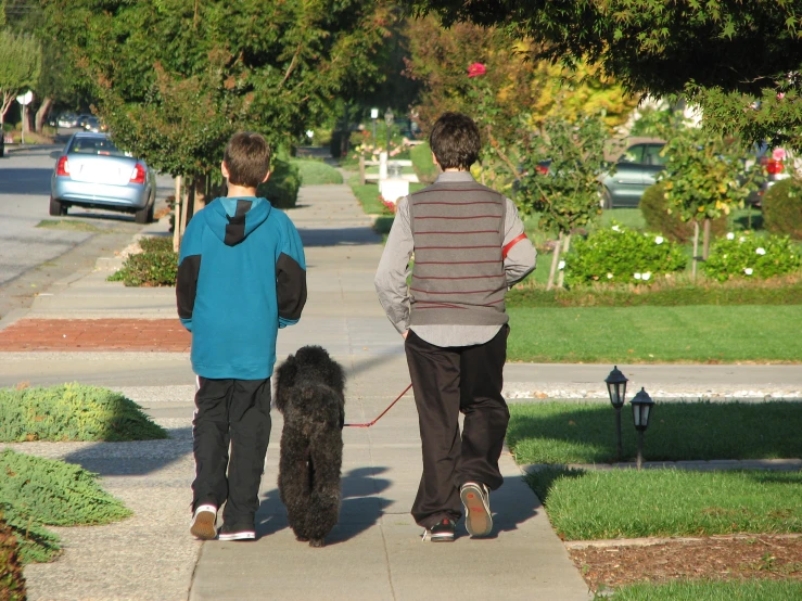 a boy and his brother are walking their dog