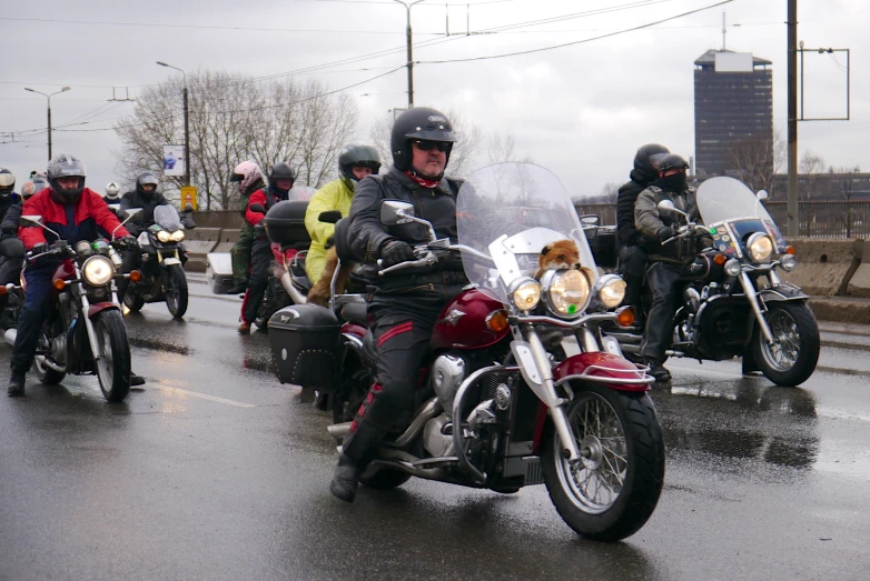 a group of motorcycle riders and their dog ride down the street