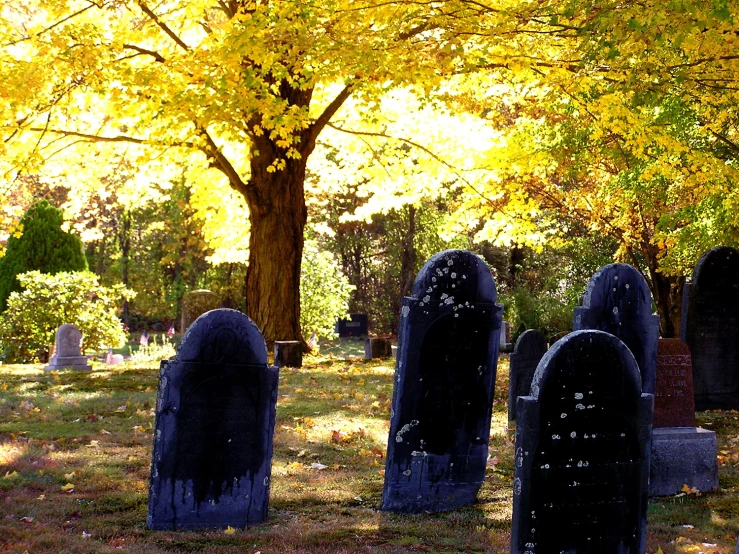 a cemetery cemetery has tombstones sitting in the grass