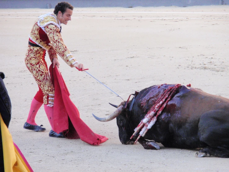 a man dressed in bull wear holds his leg out next to the bulls body