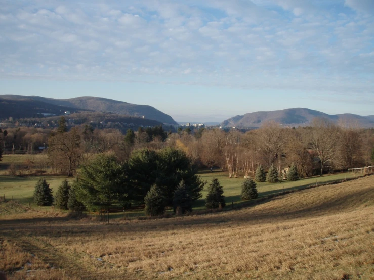 a mountain field covered with dry grass and lots of trees