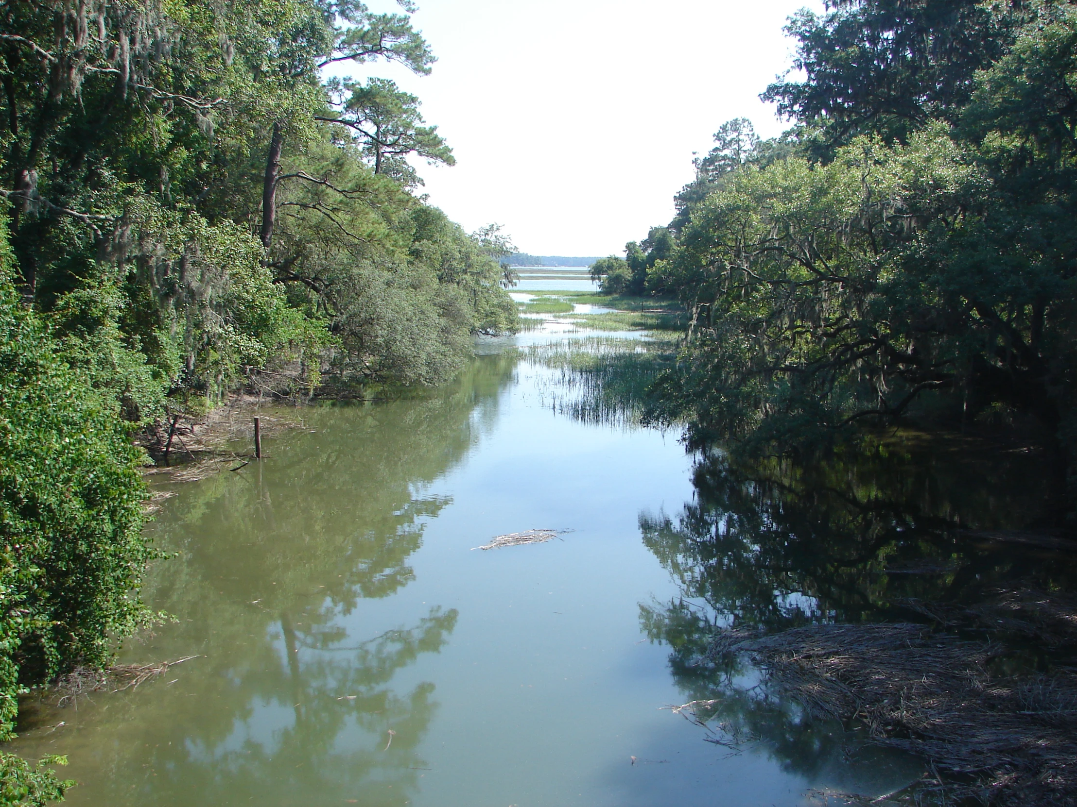 a large body of water surrounded by green trees