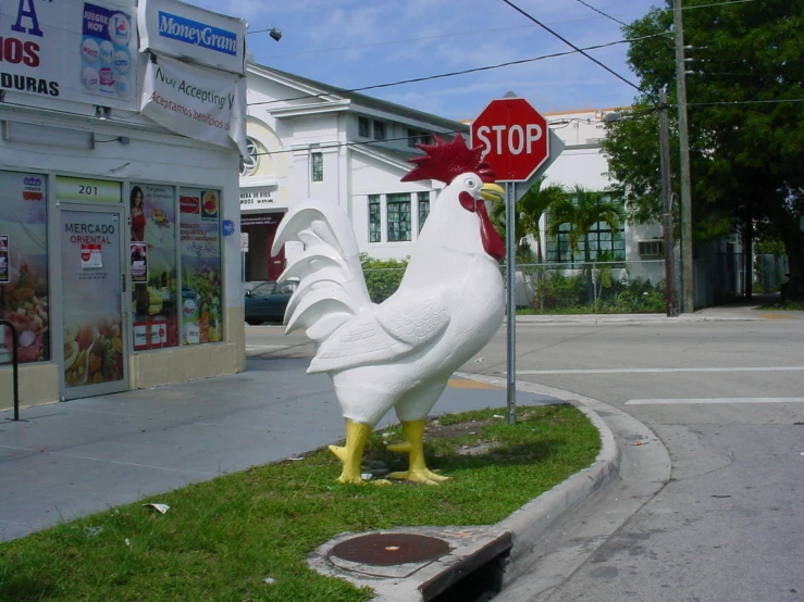 a fake chicken statue with a stop sign on it's legs