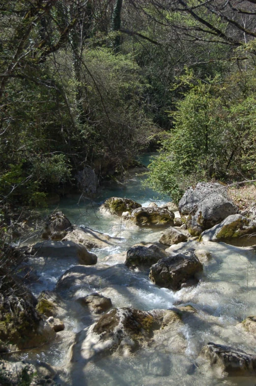 flowing water surrounded by rocky land with small trees