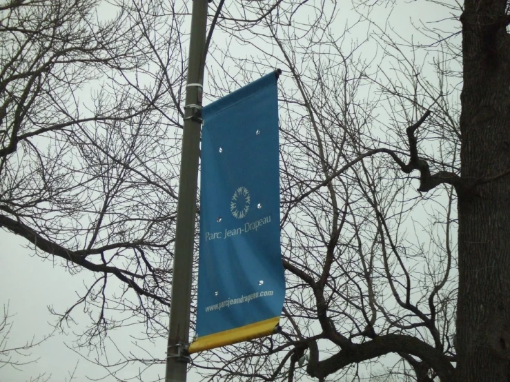 a flag hanging on the side of a tree