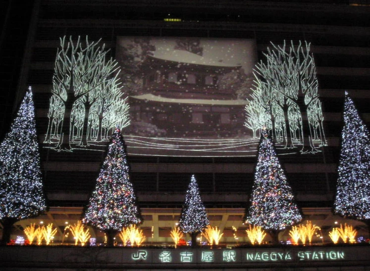 a large screen is shining on trees in the middle of a park