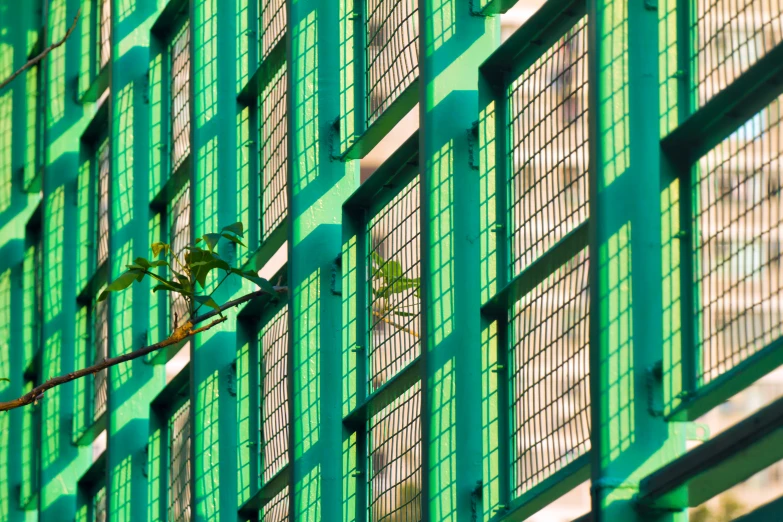 a plant on a green metal fence beside a building