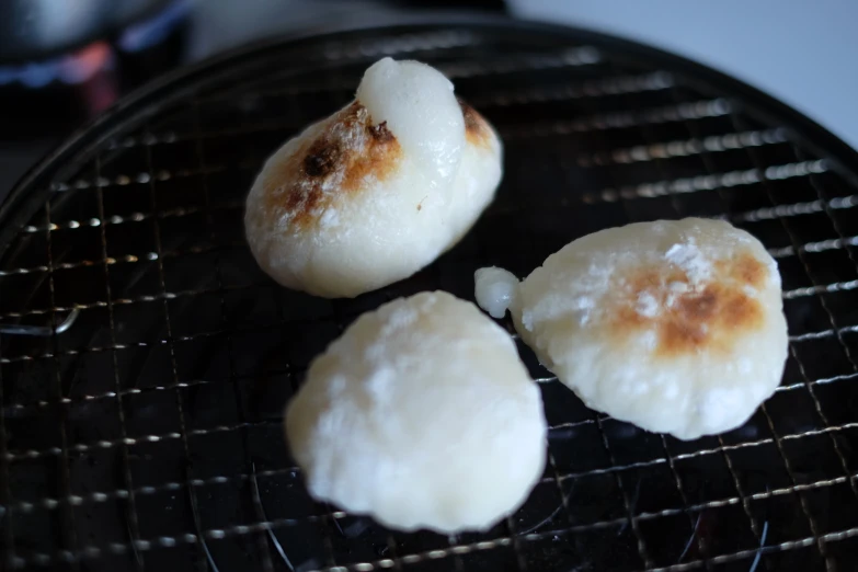 some food is sitting on a grill for grilling