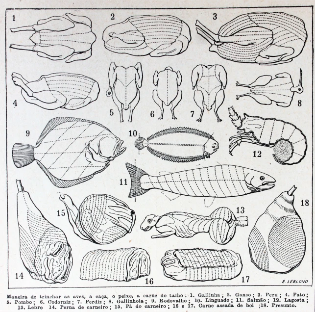 a diagram showing how to make fish bones