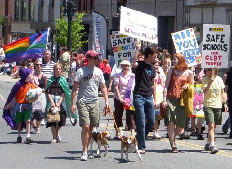 people in the street walking with two dogs