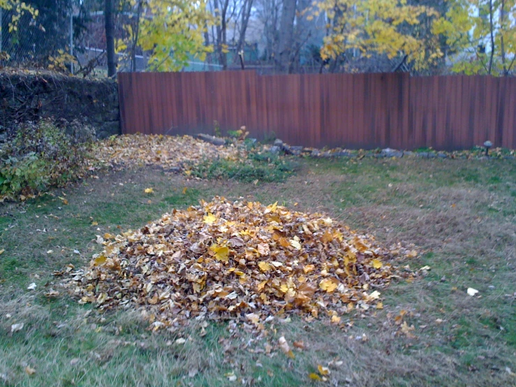 this is a pile of leaves in front of a fence