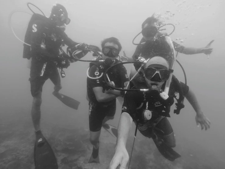 a group of divers dive near the rocks