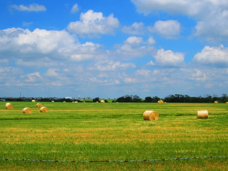 a field of straw bales on a farm with blue sky in the background