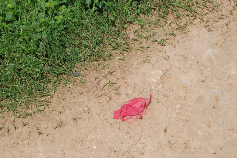 a plastic pink umbrella that is sitting on the ground