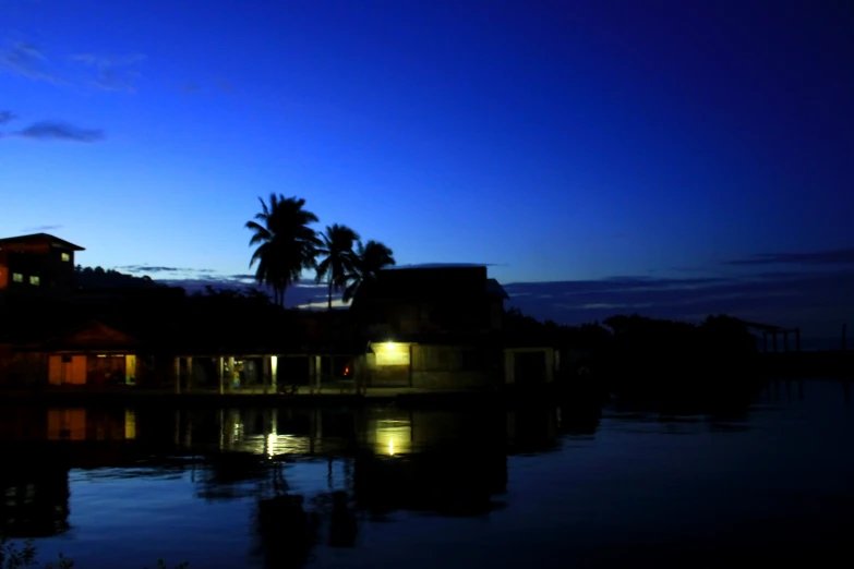 dark night scene of house by a body of water with a large palm tree in the foreground