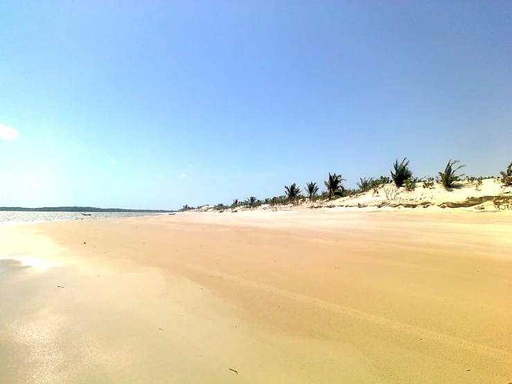 sandy beach near the water under a blue sky