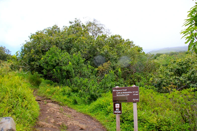 this is a trail with signage for the trail