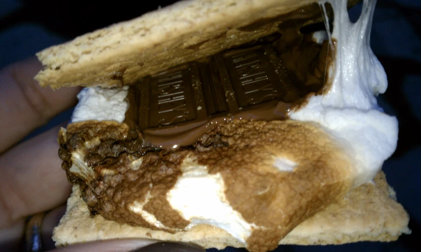 a hand holding up a sandwich with a chocolate filled pastry inside