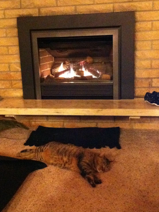 a fireplace with a cat sleeping on the floor next to it