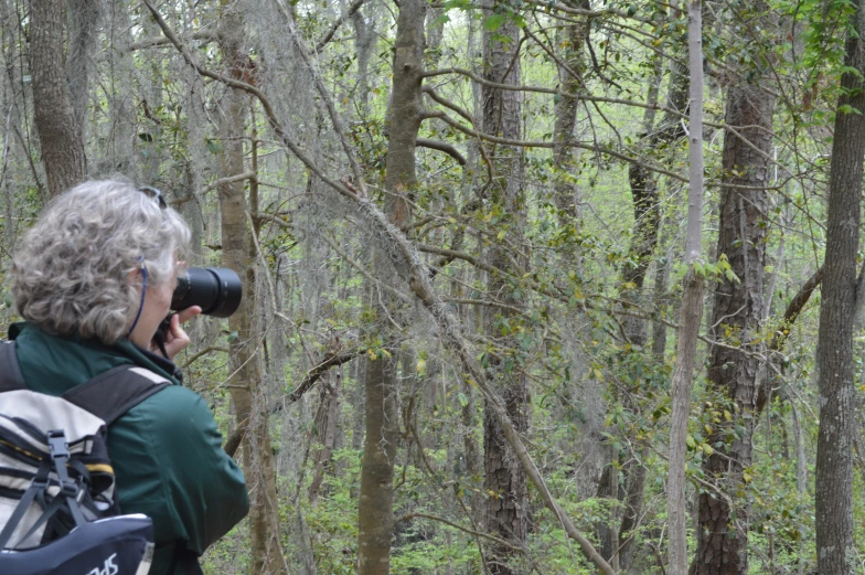 woman in the woods with binoculars looking into trees