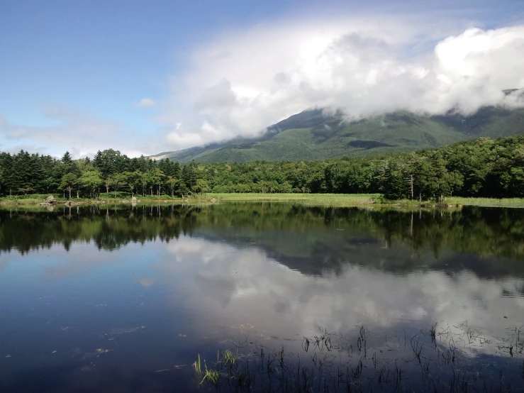 a large lake in the middle of a forested area