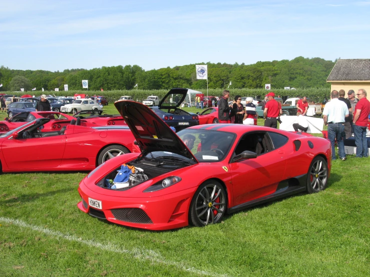 ferraris sitting out in the grass near people looking at them