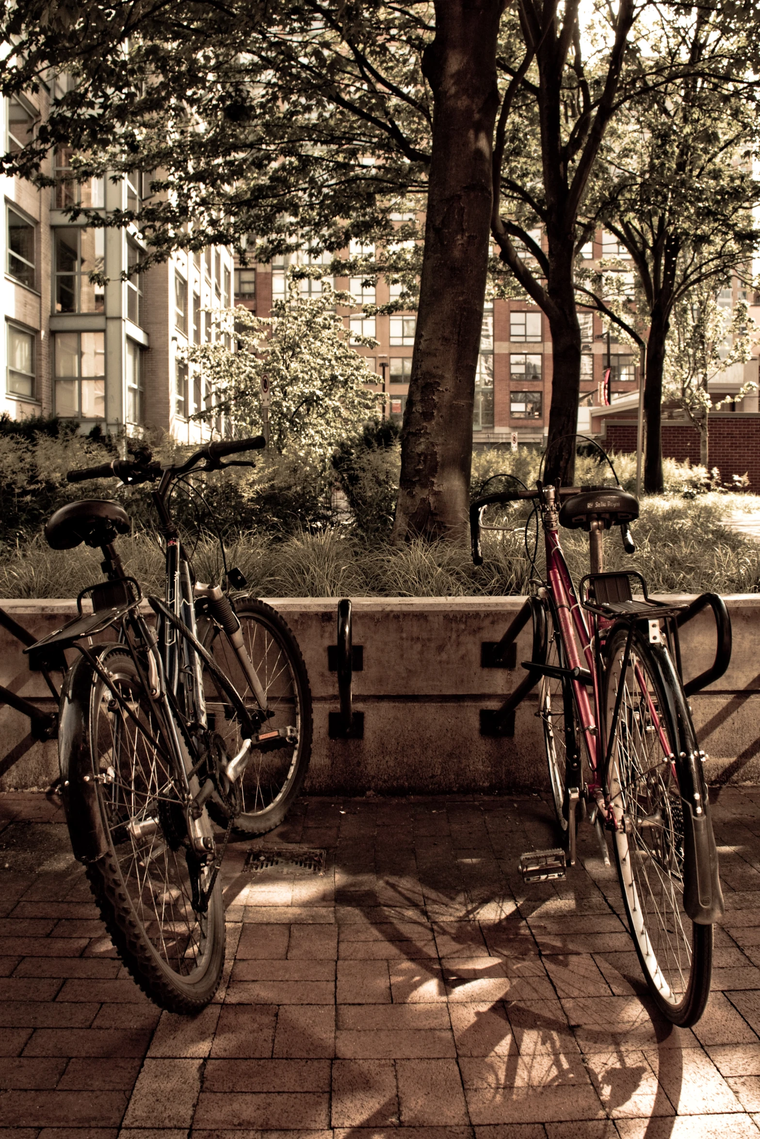 two bikes sit parked near each other on a bench