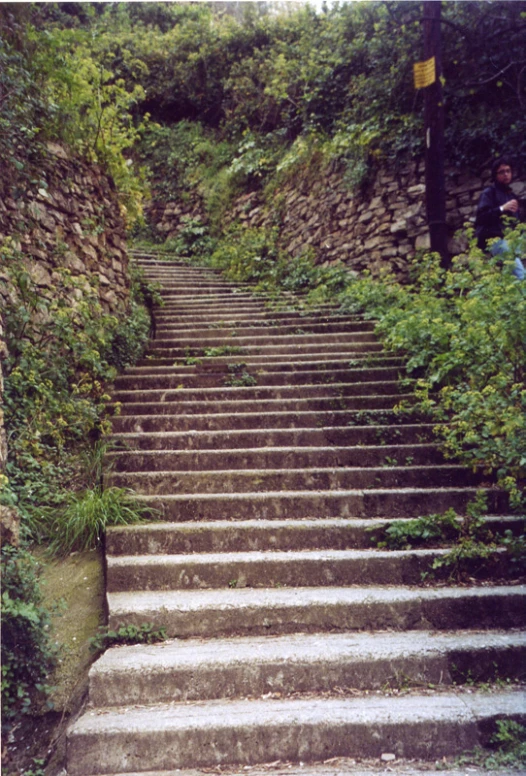 stone stairs are a path that leads up a hill