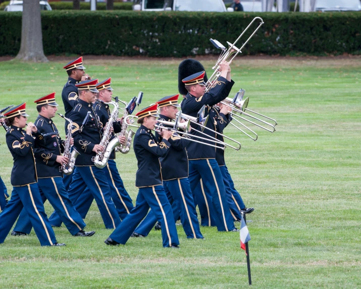 a band that is playing with instruments in the grass